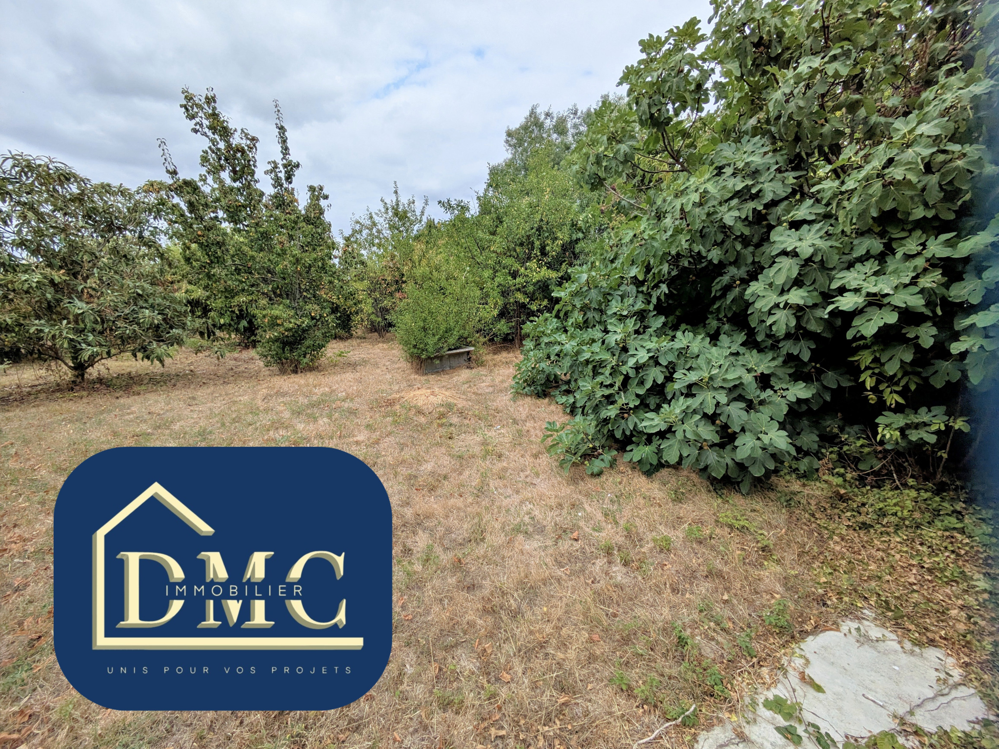 Terrain constructible à vendre à Auterive, 5 350 m², 5 pièces – photo 1 sur 6